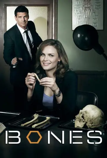 Poster for the TV series "Bones" #1241301