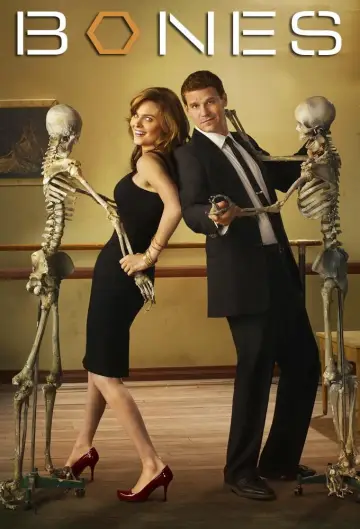 Poster for the TV series "Bones" #1241302