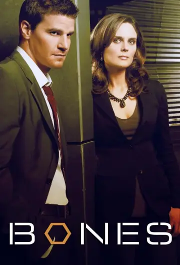 Poster for the TV series "Bones" #1241306