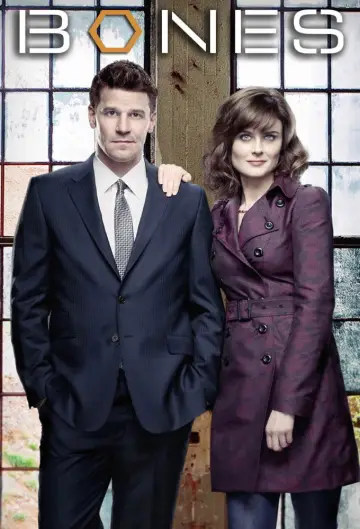Poster for the TV series "Bones" #1241310