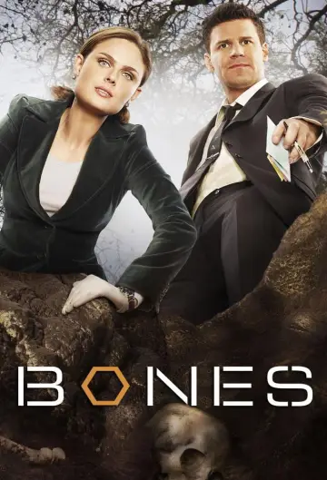 Poster for the TV series "Bones" #1241314