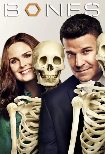 Poster for the TV series "Bones" #1241316