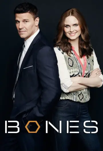 Poster for the TV series "Bones" #1241321