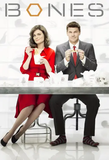 Poster for the TV series "Bones" #1241323