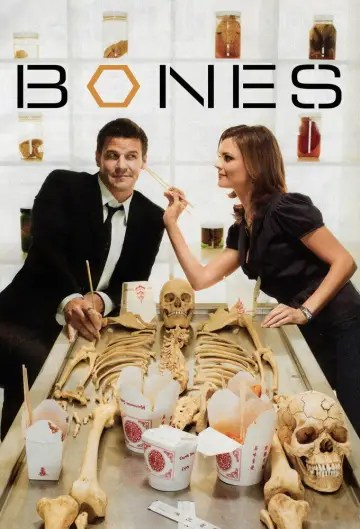 Poster for the TV series "Bones" #1241325