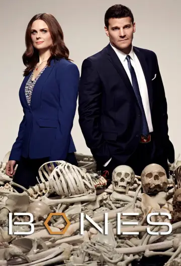 Poster for the TV series "Bones" #1241326