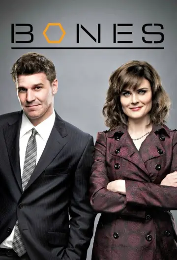 Poster for the TV series "Bones" #1241327