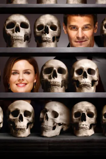 Poster for the TV series "Bones" #1241331