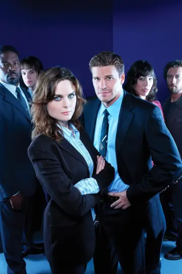 Poster for the TV series "Bones" #1241334