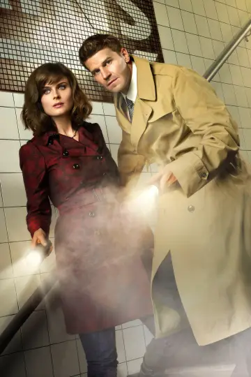 Poster for the TV series "Bones" #1241336
