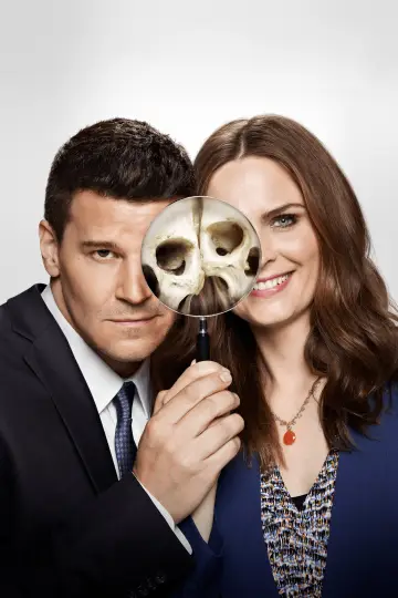 Poster for the TV series "Bones" #1241338