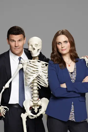 Poster for the TV series "Bones" #1241340