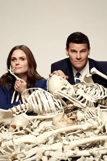 Poster for the TV series "Bones" #1241343