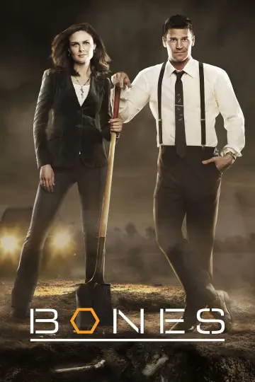 Poster for the TV series "Bones" #1241345