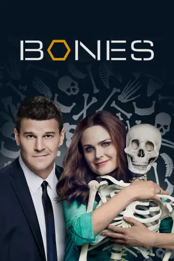 Poster for the TV series "Bones" #1241348