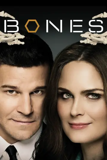 Poster for the TV series "Bones" #1241350