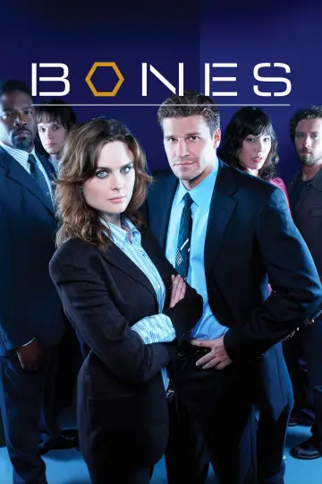 Poster for the TV series "Bones" #1241356