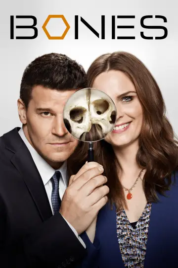 Poster for the TV series "Bones" #1241361