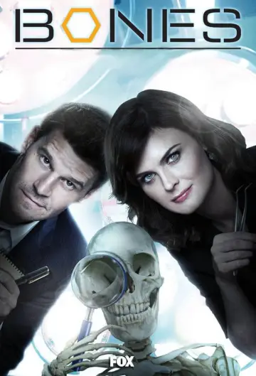 Poster for the TV series "Bones" #1241366