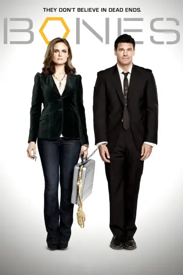 Poster for the TV series "Bones" #1241368