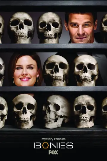 Poster for the TV series "Bones" #1241369