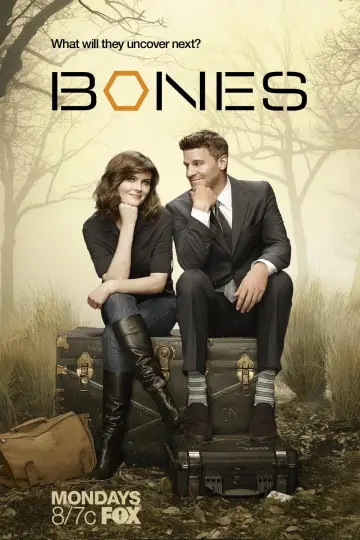 Poster for the TV series "Bones" #1241372