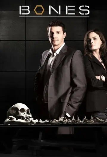 Poster for the TV series "Bones" #1241374