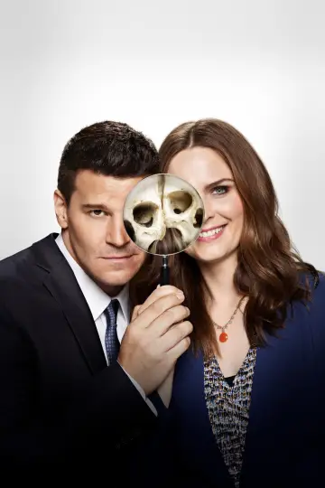 Poster for the TV series "Bones" #1241386