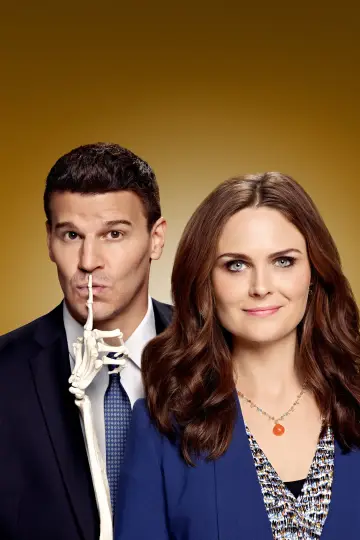 Poster for the TV series "Bones" #1241388