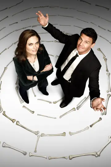 Poster for the TV series "Bones" #1241390
