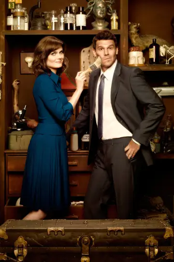 Poster for the TV series "Bones" #1241395