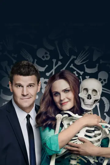 Poster for the TV series "Bones" #1241397