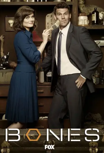 Poster for the TV series "Bones" #1241411
