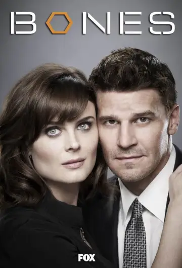 Poster for the TV series "Bones" #1241413