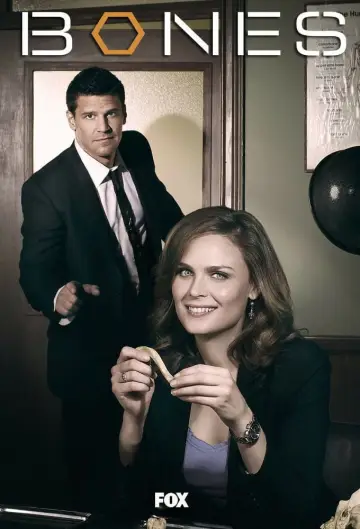 Poster for the TV series "Bones" #1241415