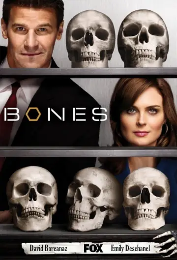 Poster for the TV series "Bones" #1241416