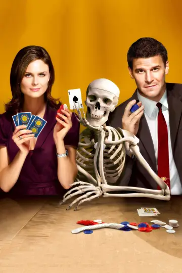 Poster for the TV series "Bones" #1241428