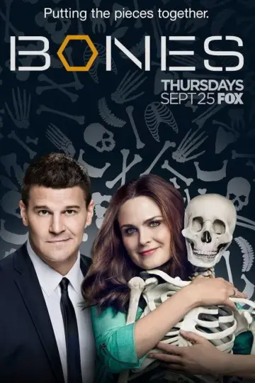 Poster for the TV series "Bones" #1241437