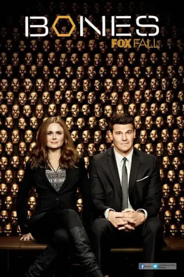 Poster for the TV series "Bones" #1241439