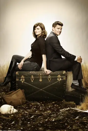 Poster for the TV series "Bones" #1241457