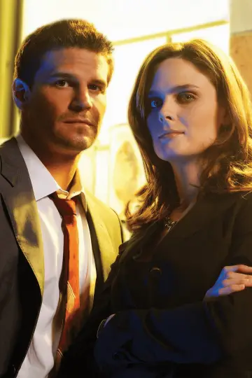 Poster for the TV series "Bones" #1241463
