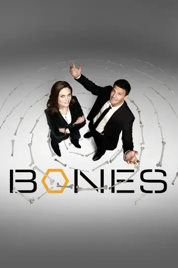 Poster for the TV series "Bones" #1241466
