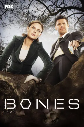 Poster for the TV series "Bones" #1241468