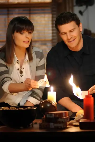 Poster for the TV series "Bones" #1241471