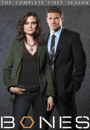 Poster for the TV series "Bones" #1259362