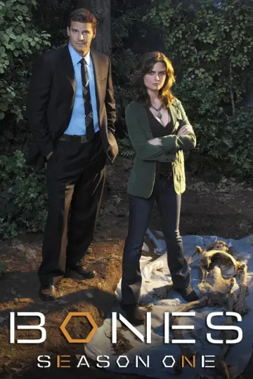 Poster for the TV series "Bones" #1259363