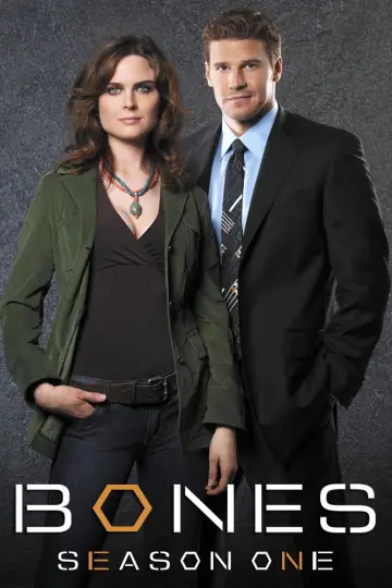 Poster for the TV series "Bones" #1259364
