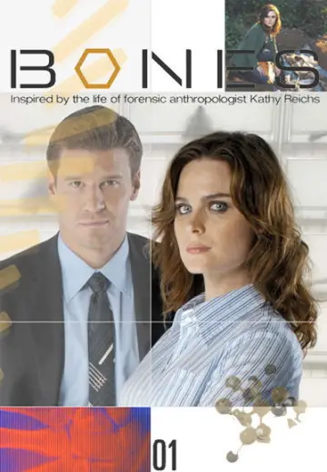 Poster for the TV series "Bones" #1259366