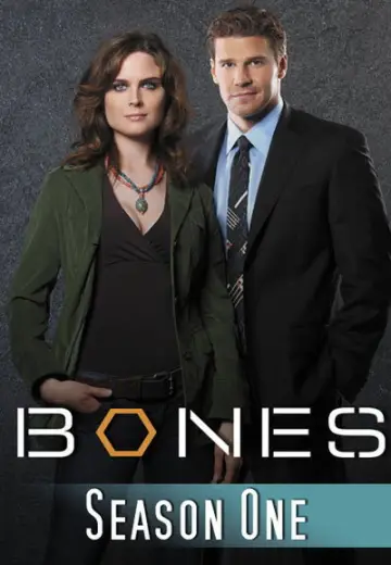 Poster for the TV series "Bones" #1259367