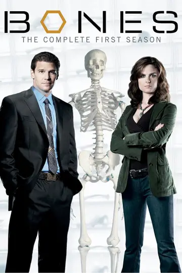 Poster for the TV series "Bones" #1259368